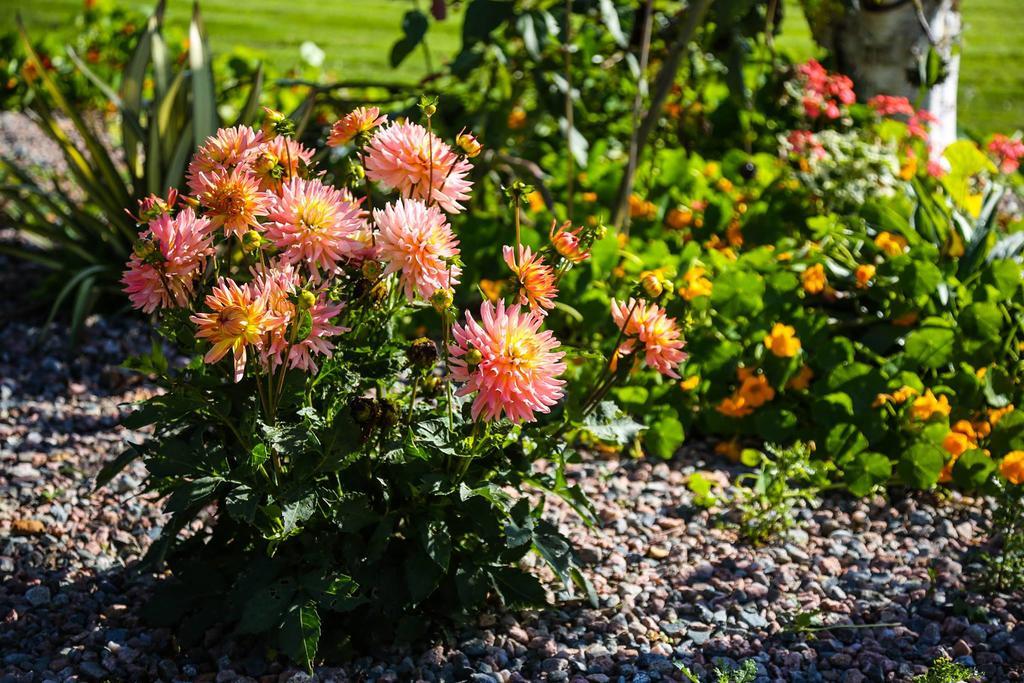 Slidala B&B ロスクレア エクステリア 写真